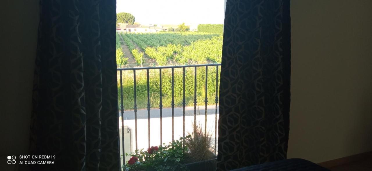 Appartement Neuf Et Moderne Au Coeur De La Camargue Saint-Laurent-dʼAigouze 외부 사진