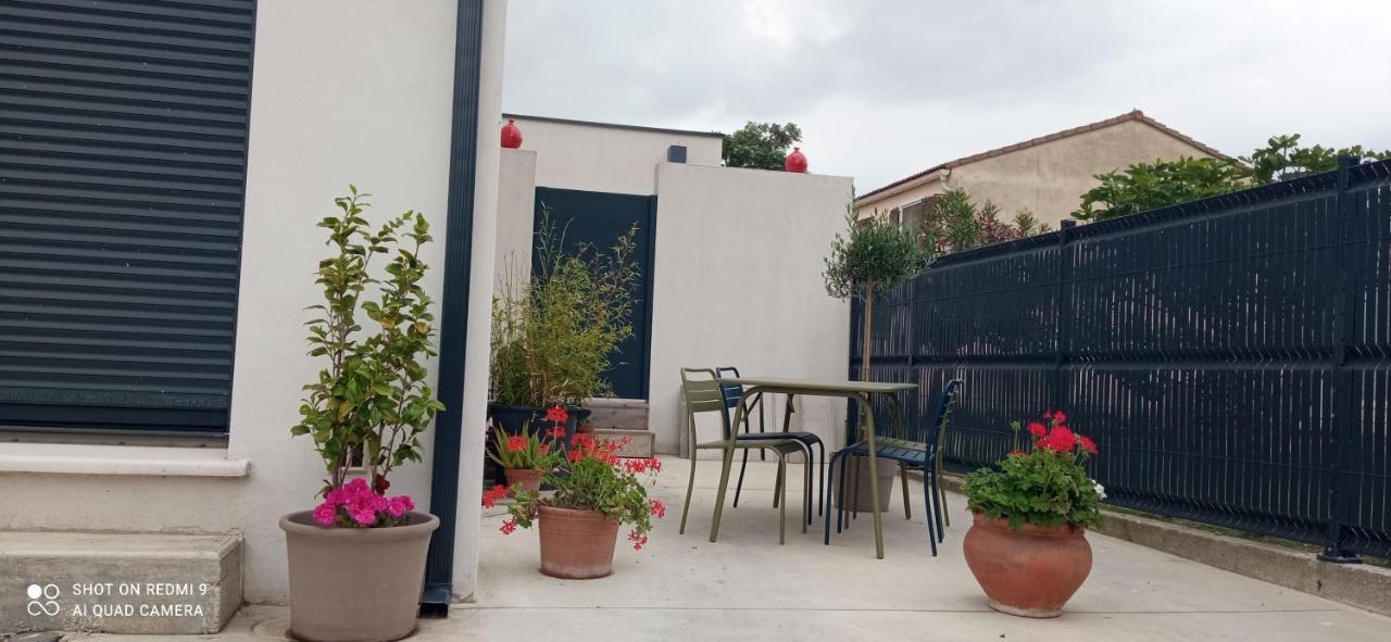 Appartement Neuf Et Moderne Au Coeur De La Camargue Saint-Laurent-dʼAigouze 외부 사진